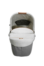 Load image into Gallery viewer, OYSTER-02