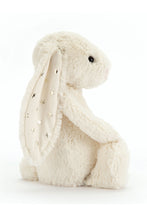 Load image into Gallery viewer, TWINKLE 01