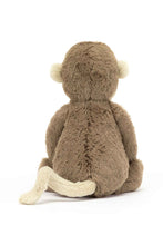 Load image into Gallery viewer, MULTI 01