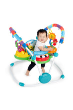 Load image into Gallery viewer, Baby Einstein Neighbourhood Friends Activity Jumper