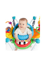 Load image into Gallery viewer, Baby Einstein Neighbourhood Friends Activity Jumper