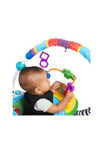 Load image into Gallery viewer, Baby Einstein Neighbourhood Friends Activity Jumper
