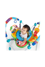Load image into Gallery viewer, Baby Einstein Neighbourhood Friends Activity Jumper