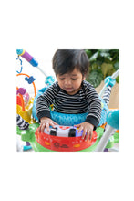 Load image into Gallery viewer, Baby Einstein Neighbourhood Friends Activity Jumper
