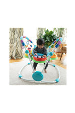 Load image into Gallery viewer, Baby Einstein Neighbourhood Friends Activity Jumper