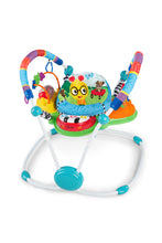 Load image into Gallery viewer, Baby Einstein Neighbourhood Friends Activity Jumper