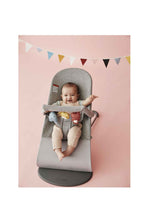 Load image into Gallery viewer, BabyBjorn Toy For Bouncer Soft Friends