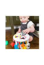 Load image into Gallery viewer, Baby Einstein Zen & Cal'S Playground Sort & Discover Shapes Sensory Toy Set