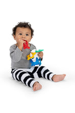 Load image into Gallery viewer, MULTI