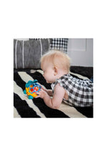 Load image into Gallery viewer, MULTI