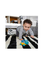 Load image into Gallery viewer, MULTI