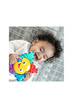 Load image into Gallery viewer, Baby Einstein Star Bright Symphony Plush Musical Take-Along Toy