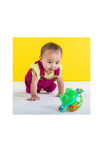 Load image into Gallery viewer, Bright Starts Oball Easy Grasp Jingle & Shake Pal Rattle Bpa-Free Infant Toy, Green Frog