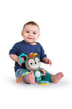 Load image into Gallery viewer, Bright Starts Playful Pals Take-Along Activity Toy, Sloth