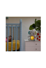 Load image into Gallery viewer, Bright Starts Hug-A-Bye Baby Musical Light up Soft Toy