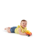 Load image into Gallery viewer, MULTI