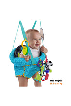 Load image into Gallery viewer, Bright Starts Bounce 'N Spring Deluxe Door Jumper