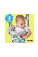 Load image into Gallery viewer, Bright Starts Playful Parade Door Jumper