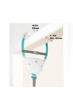 Load image into Gallery viewer, Bright Starts Playful Parade Door Jumper