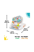 Load image into Gallery viewer, PLAYFULPARADISE