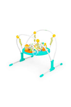 Load image into Gallery viewer, Bright Starts Cooking Up Fun Activity Jumper