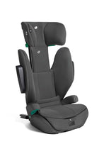 Load image into Gallery viewer, EBONY