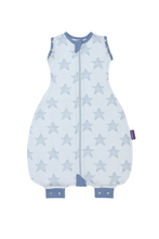 Load image into Gallery viewer, BLUE 01