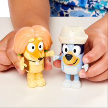 Load image into Gallery viewer, Bluey & Indy Figure 2 Packs Doctor