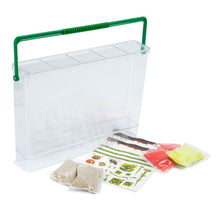 Load image into Gallery viewer, RMS Creative Sprouts Grow Your Own Worm World