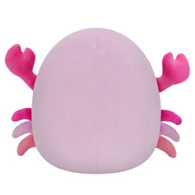Load image into Gallery viewer, Squishmallows 7.5in Plush Cailey the Crab with Starfish