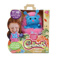 Load image into Gallery viewer, Curlimals Lucie The Ladybird Electronic Pet