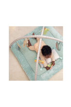 Load image into Gallery viewer, Ingenuity Calm Springs Plush Activity Baby Gym