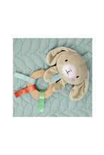 Load image into Gallery viewer, Ingenuity Calm Springs Plush Activity Baby Gym