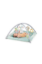 Load image into Gallery viewer, Ingenuity Calm Springs Plush Activity Baby Gym