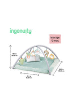 Load image into Gallery viewer, Ingenuity Calm Springs Plush Activity Baby Gym