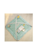 Load image into Gallery viewer, Ingenuity Calm Springs Plush Activity Baby Gym