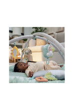 Load image into Gallery viewer, Ingenuity Calm Springs Plush Activity Baby Gym