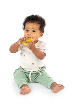 Load image into Gallery viewer, Ingenuity Cool Bite Water Teether Bomby