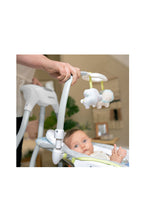 Load image into Gallery viewer, EVERSTON