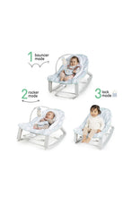 Load image into Gallery viewer, SPRUCE