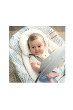 Load image into Gallery viewer, SPRUCE