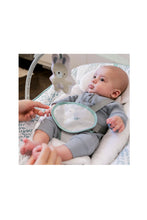 Load image into Gallery viewer, SPRUCE