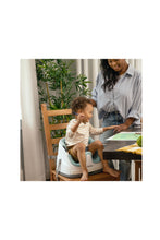 Load image into Gallery viewer, MIST