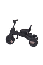 Load image into Gallery viewer, EARL GREY 01