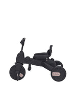 Load image into Gallery viewer, EARL GREY 01