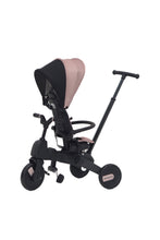 Load image into Gallery viewer, EARL GREY 01