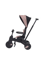 Load image into Gallery viewer, EARL GREY 01