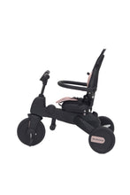 Load image into Gallery viewer, EARL GREY 01