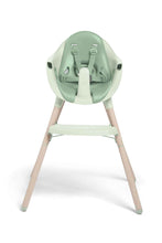 Load image into Gallery viewer, EUCALYPTUS