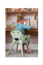 Load image into Gallery viewer, EUCALYPTUS